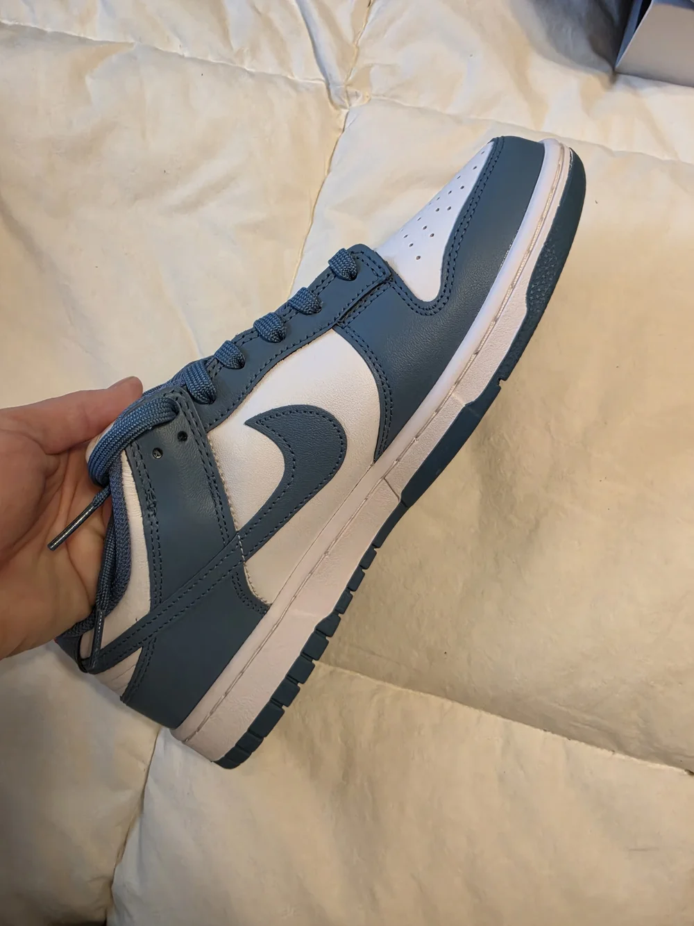 Nike classic low